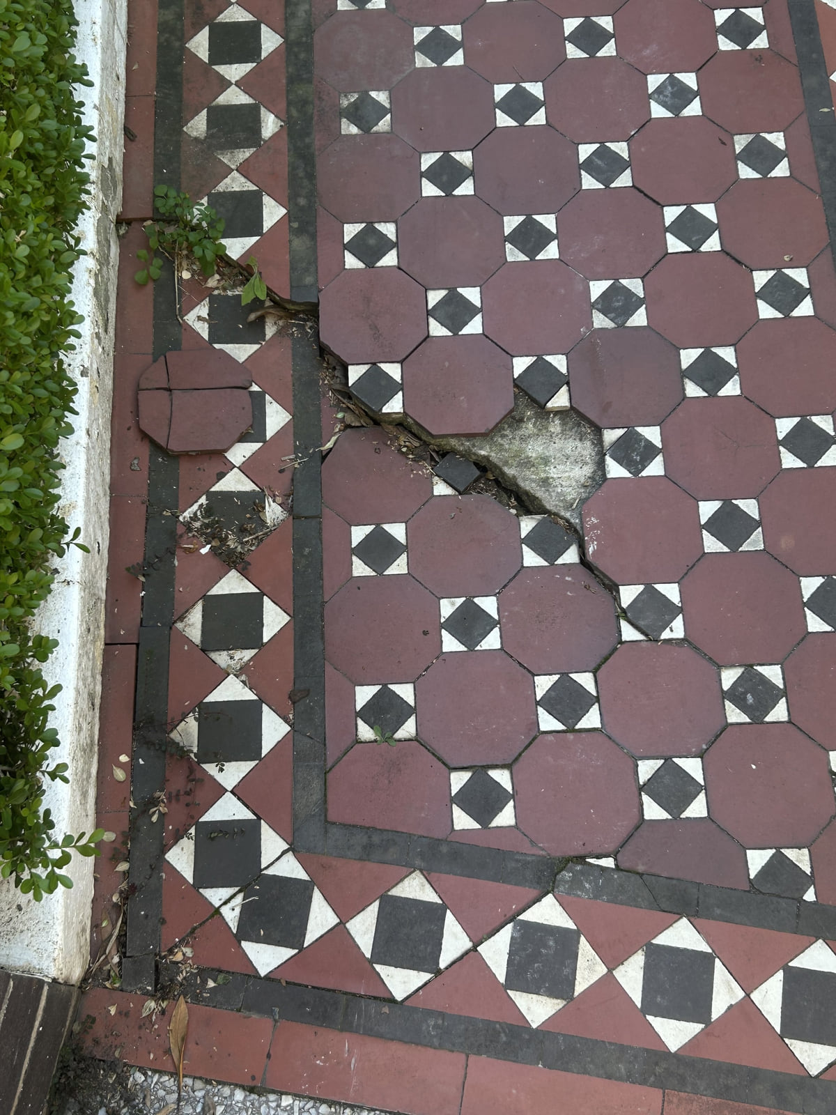 Old tessellated floor with a crack running through it and tiles lifting, before repair